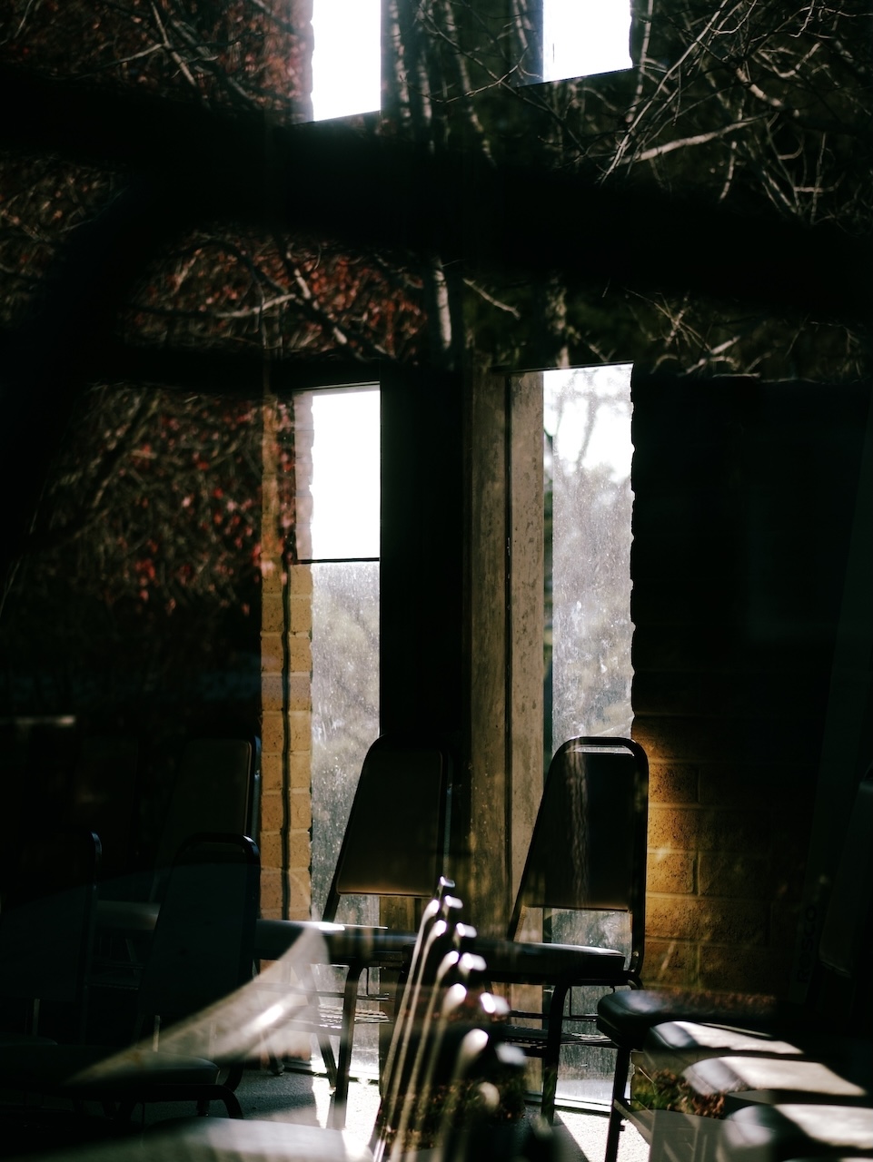 Photograph through a window. Reflection of trees overload. Chairs are inside, with golden hour light. Two tall windows on the opposite wall give the impression of two lowercase i’s.